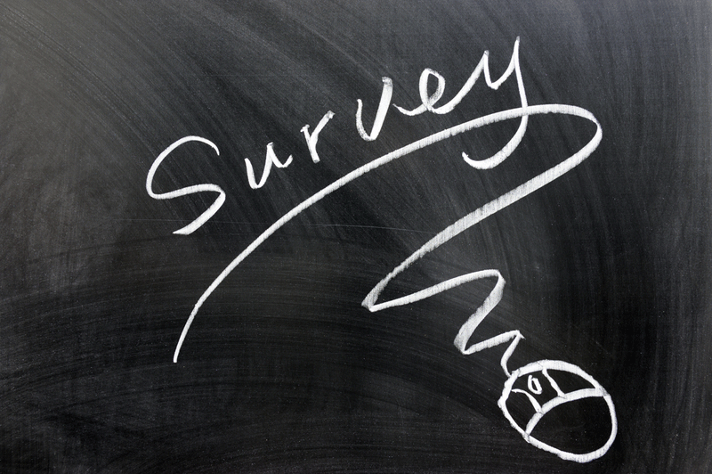 survey-on-chalkboard