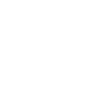 iconSolutionTarget